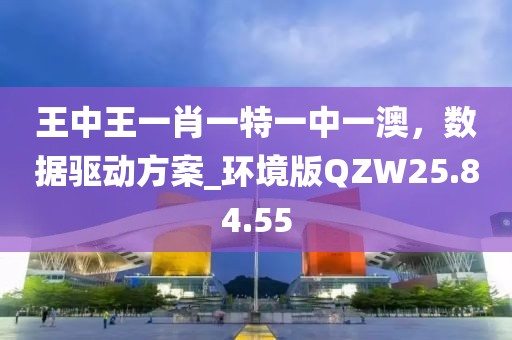 王中王一肖一特一中一澳，数据驱动方案_环境版QZW25.84.55