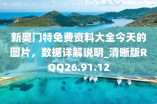 新奥门特免费资料大全今天的图片，数据详解说明_清晰版RQQ26.91.12