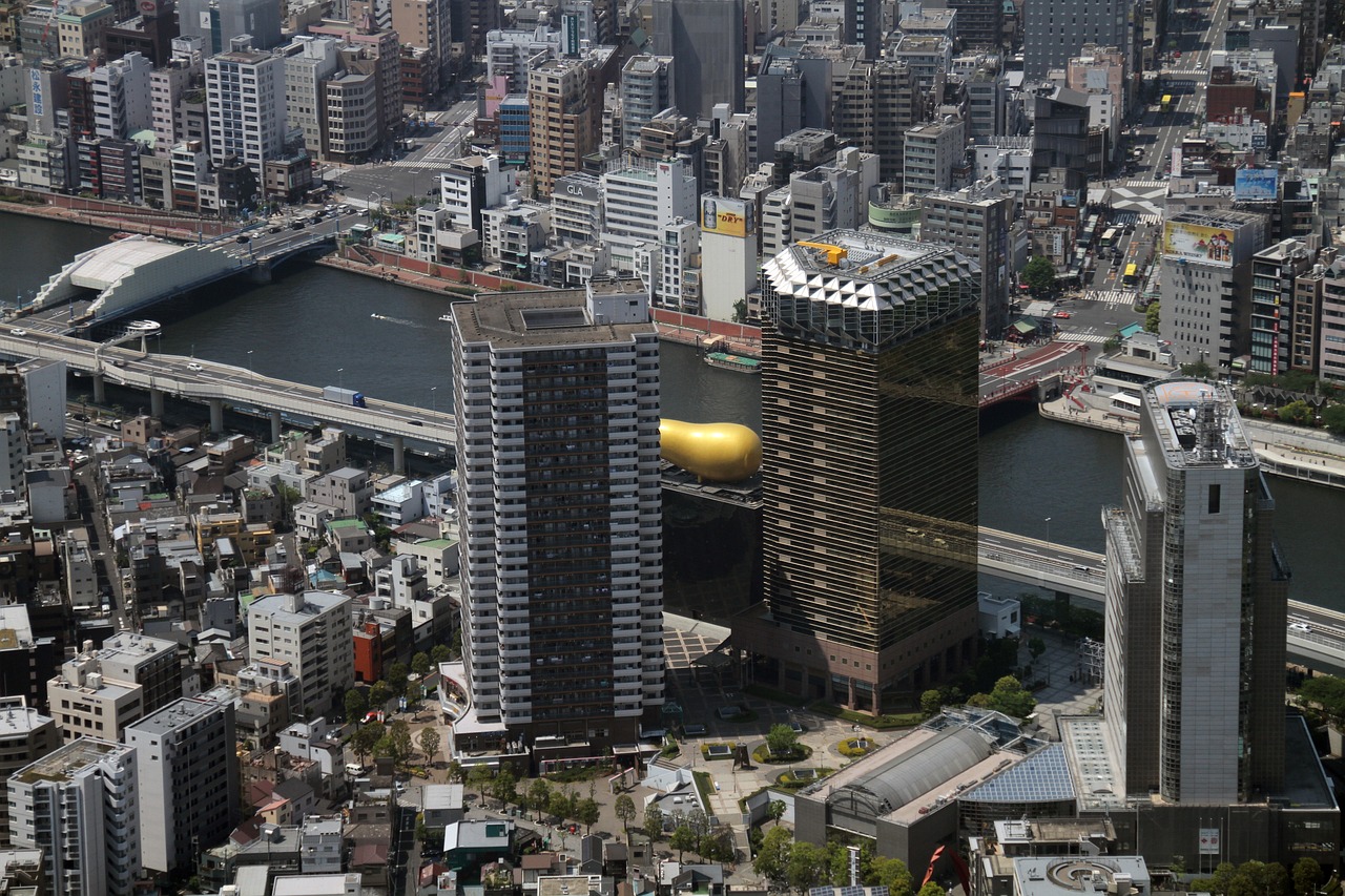2024年12月 第322页