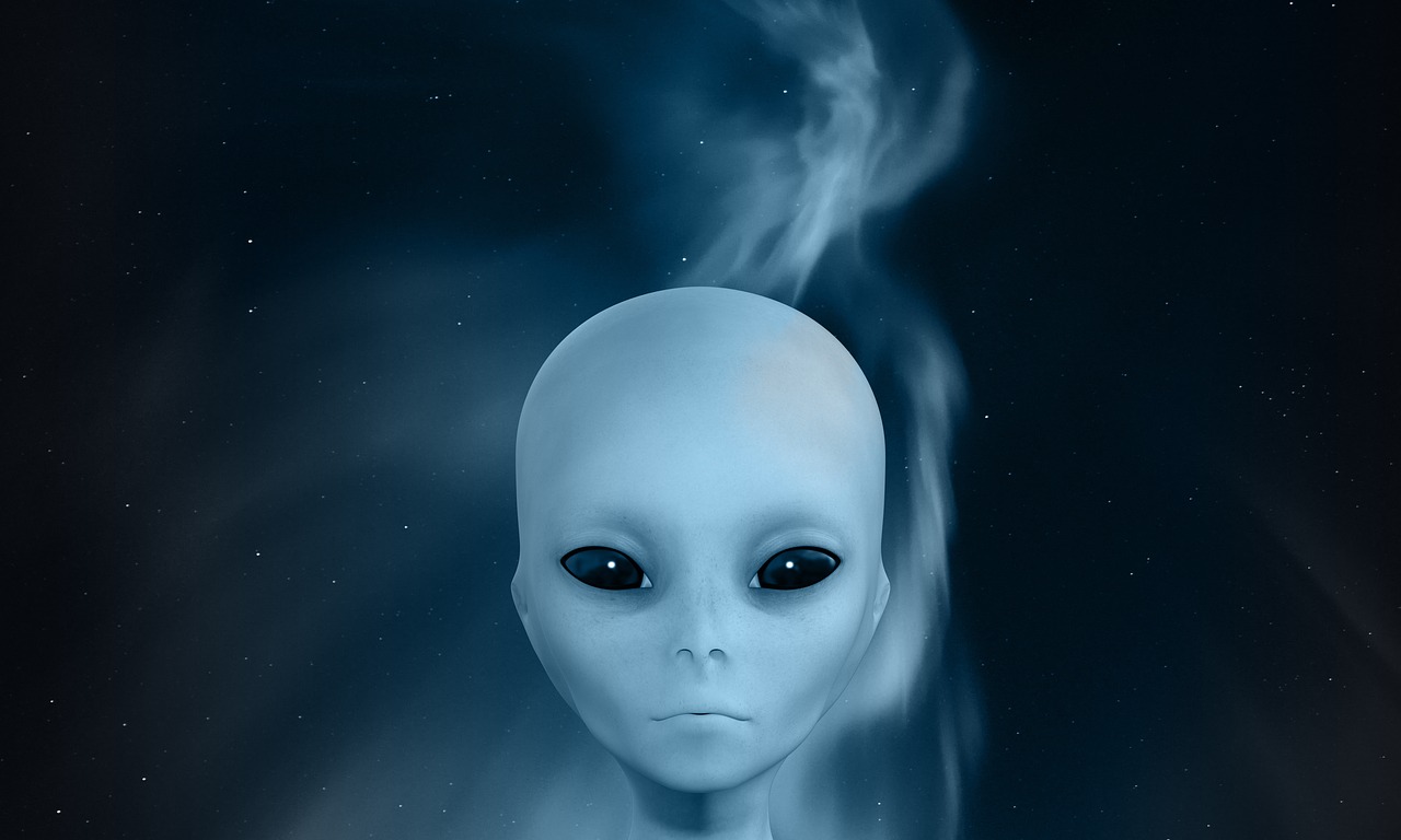 芭比最新大电影，梦幻与现实之碰撞的奇幻之旅